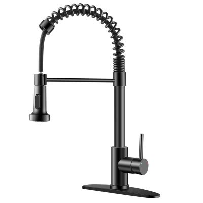 brushed bronze kitchen faucet